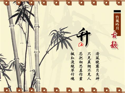 梅花間竹 意思|梅花间竹什么意思